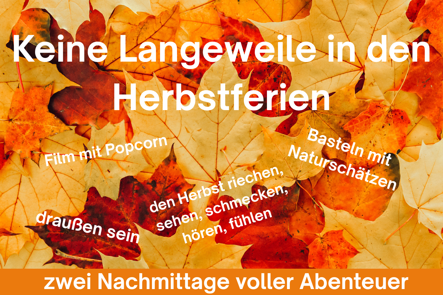 Flyer Herbstprogramm