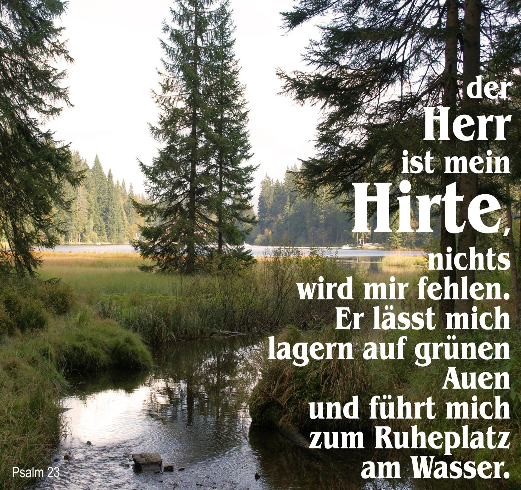 Ps 23 Hirt